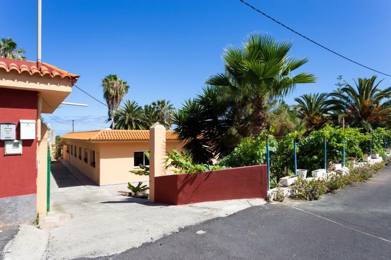 Finca La Gaviota - Las Palmeras 伊科德·德·洛斯·维诺斯 外观 照片