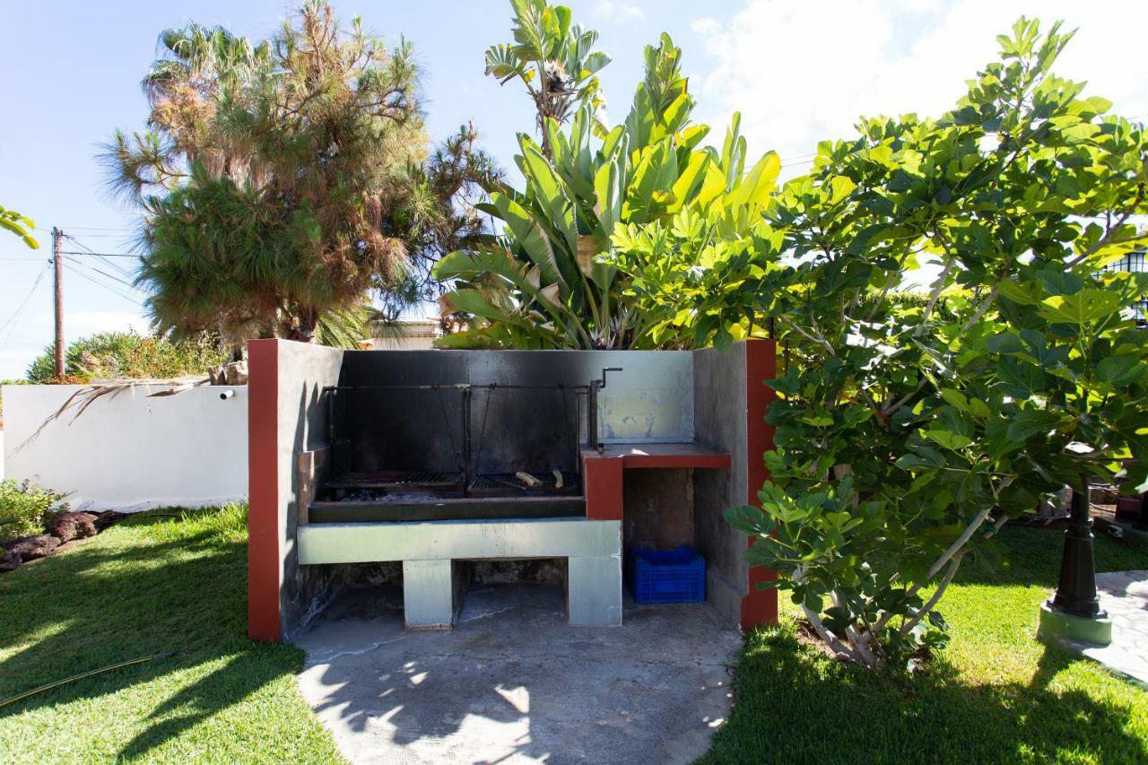 Finca La Gaviota - Las Palmeras 伊科德·德·洛斯·维诺斯 外观 照片